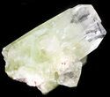 Zoned Apophyllite Crystal Cluster with Stilbite - India #44325-1